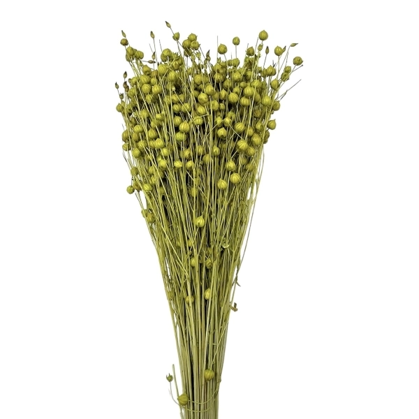 Buchet seminte de in verde lime